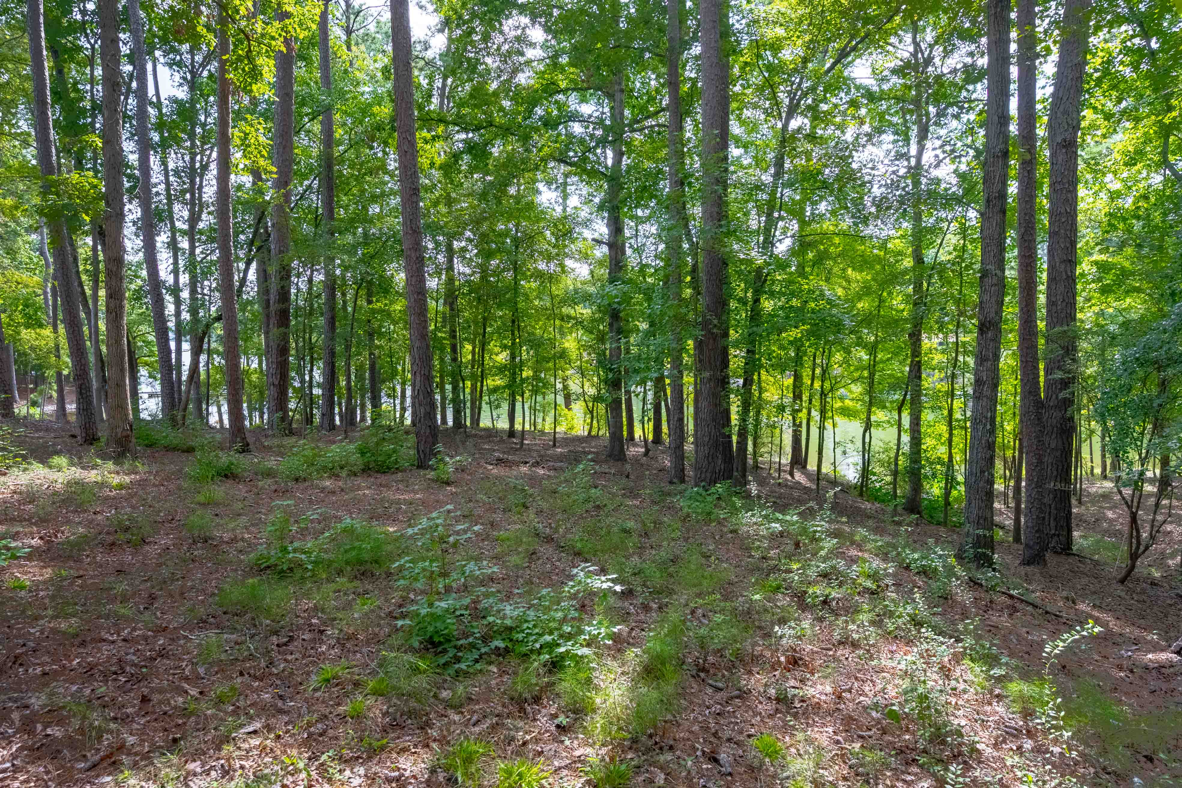 1491 Night Heron Drive image 9